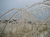 Ice Storm at Twin Chimney Farm